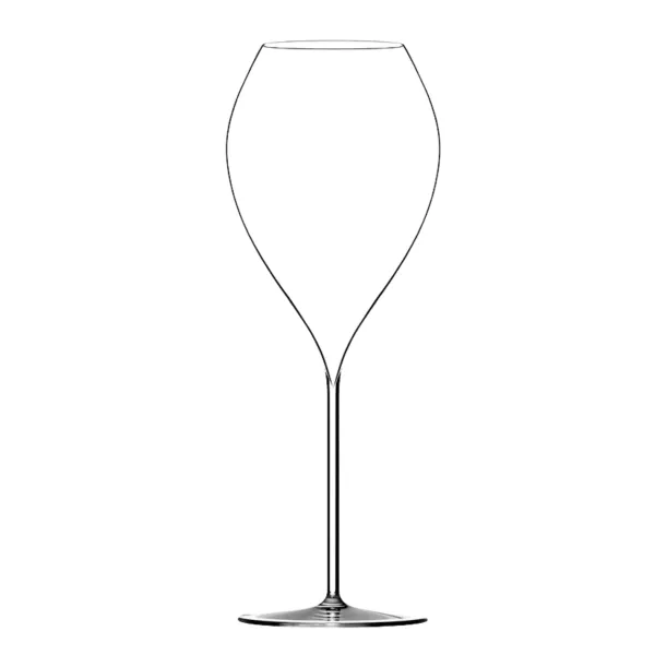 Premium Champagne Flutes - 2-Piece Set - 45 CL