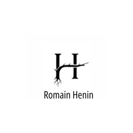 Romain Henin